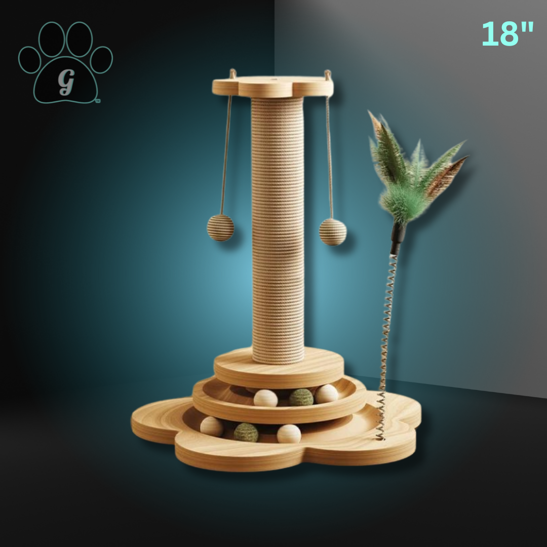 wooden cat scratcher track toy