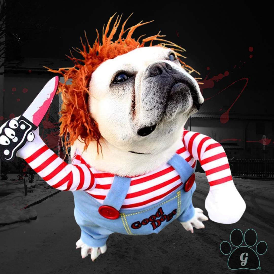 bulldog wearing Chucky pet costume