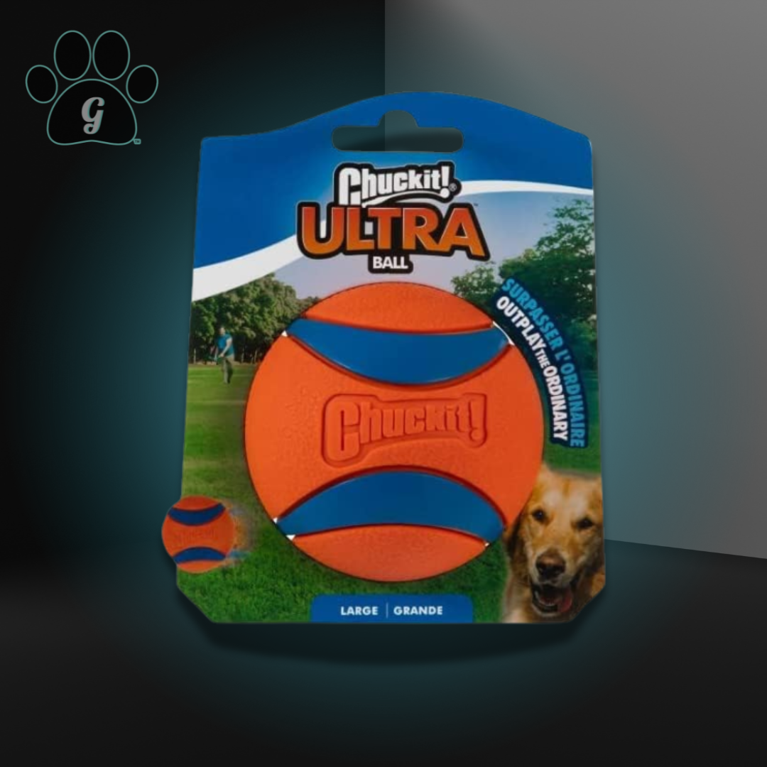 orange ball toy for dogs