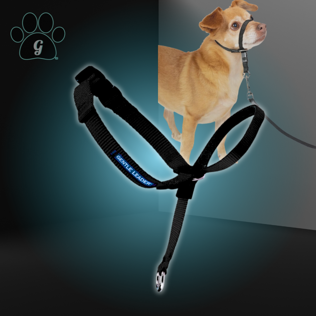 PETSAFE Gentle Leader Anti-Pull Dog Headcollar XS (< Black