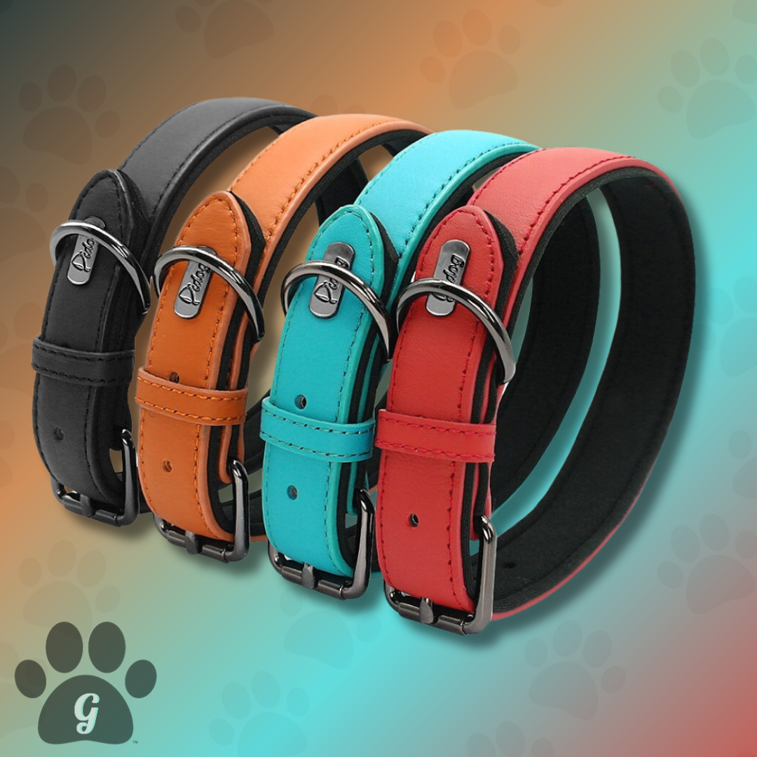 leather dog collar in multiple colors