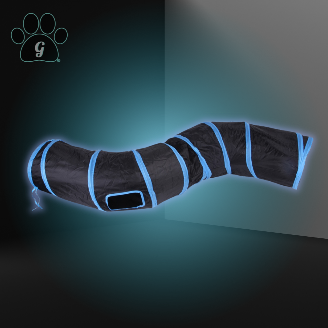 black and blue cat tunnel toy