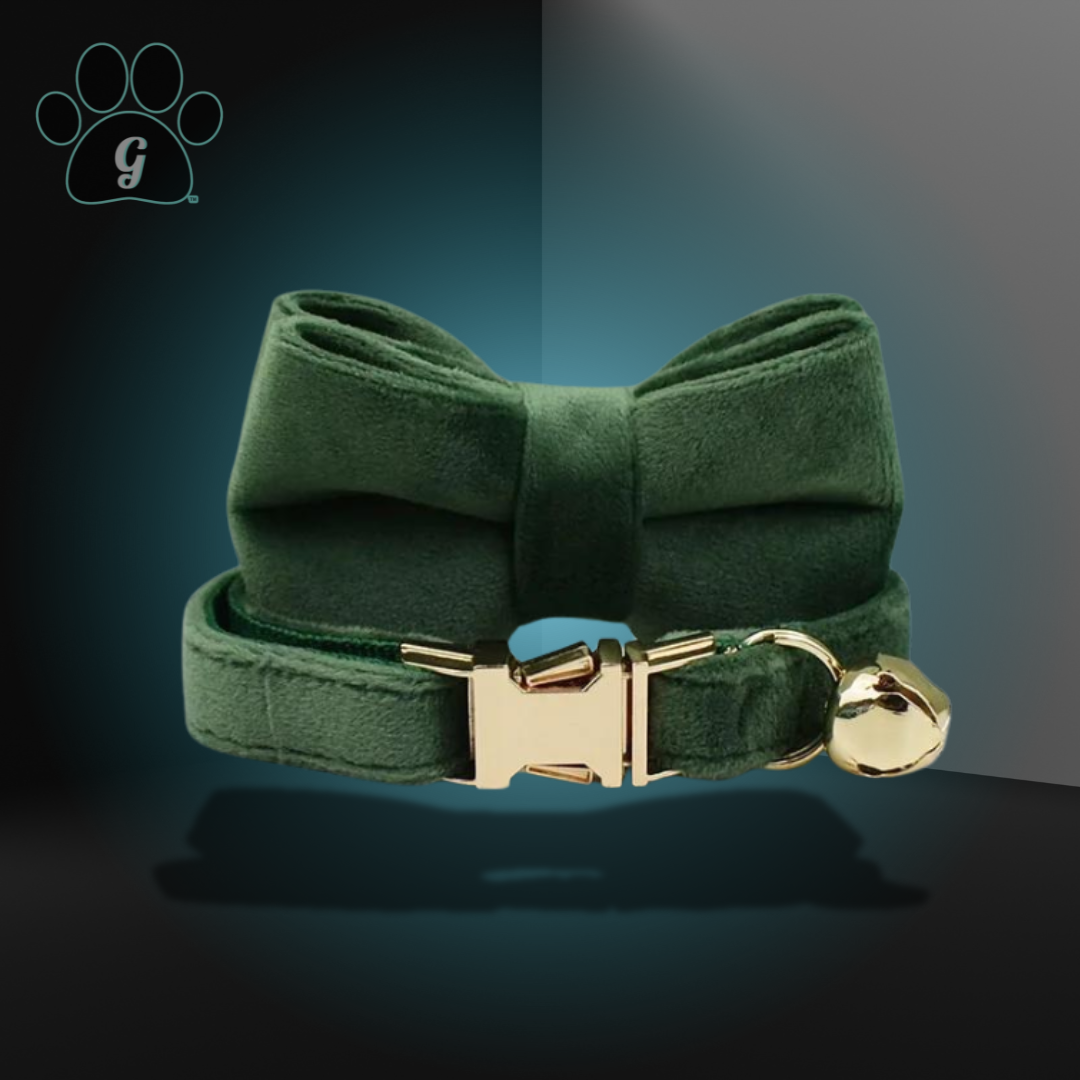 green cat collar with metal buckle and bell and bowtie