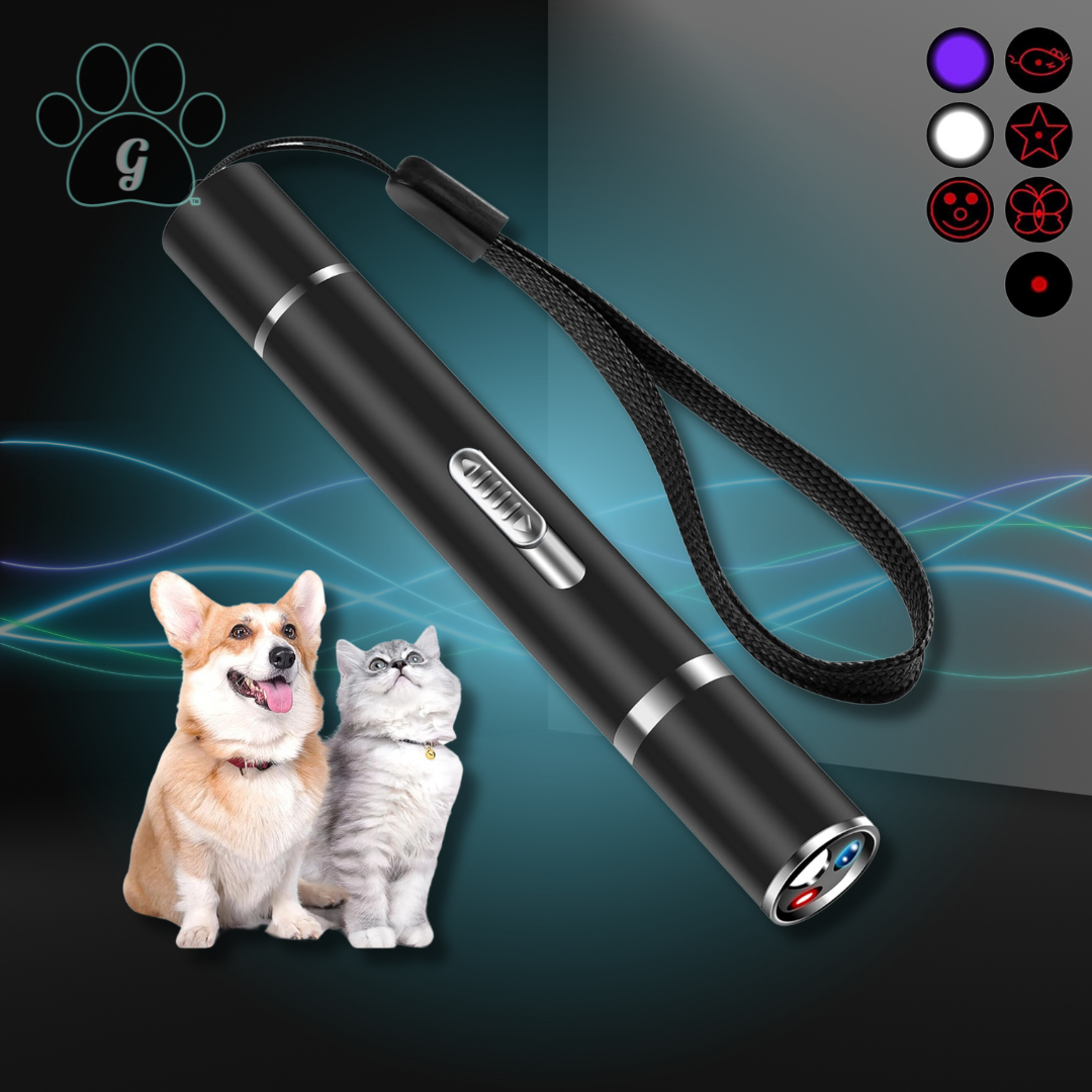 pet laser pointer toy