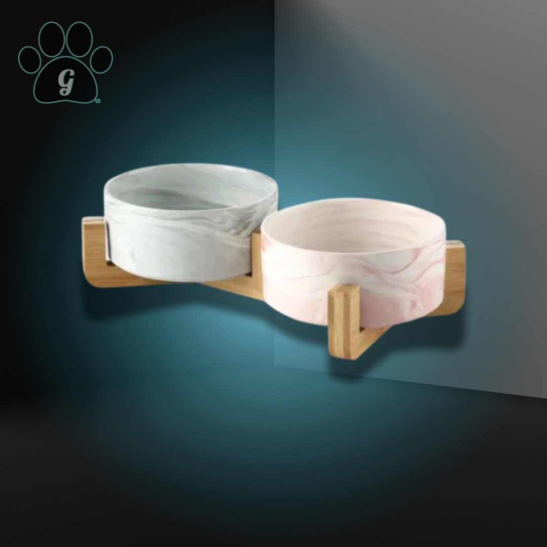 pet bowl set