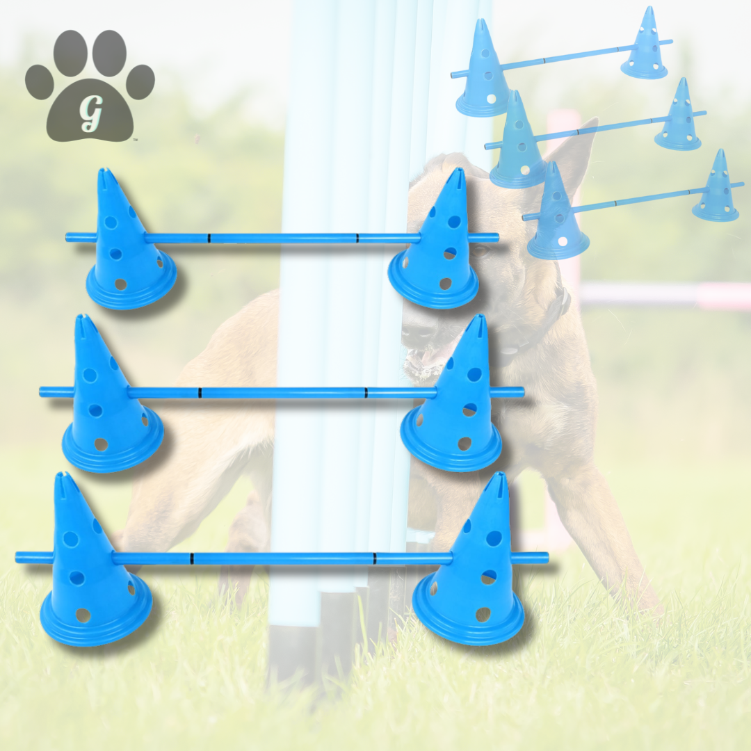 training cones for dogs