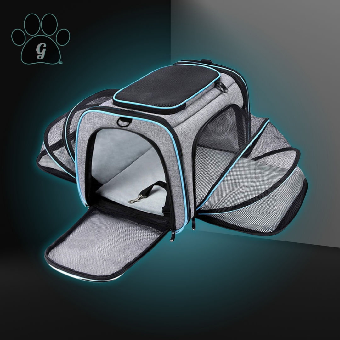 gray and blue small pet travel carrier