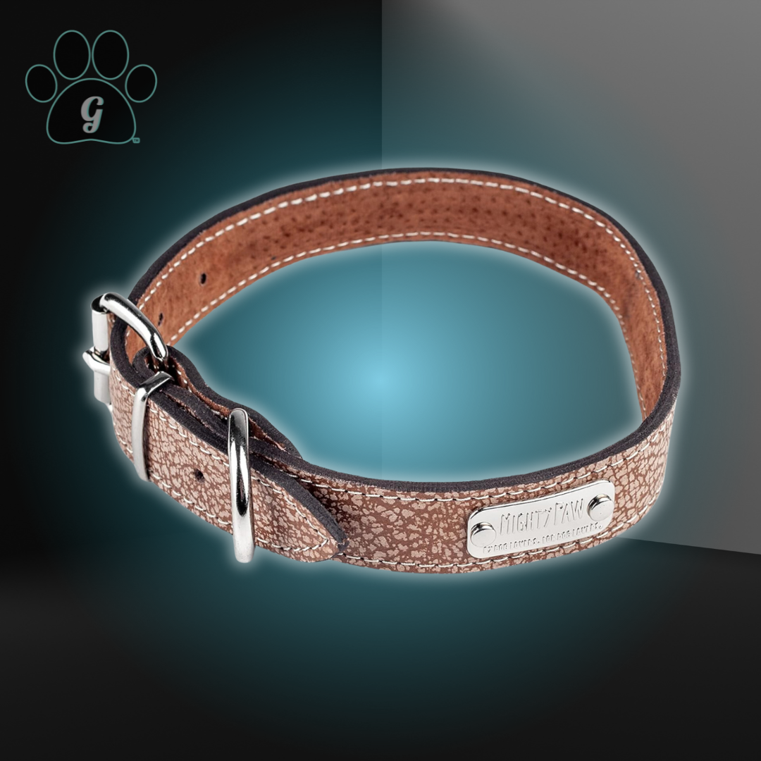 leather dog collar shown in distressed leather