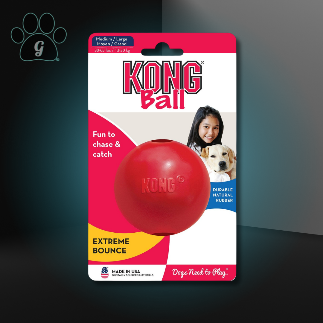 medium Kong ball dog toy