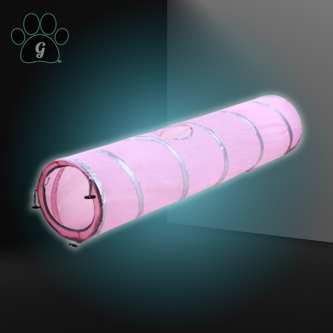 pink cat tunnel toy