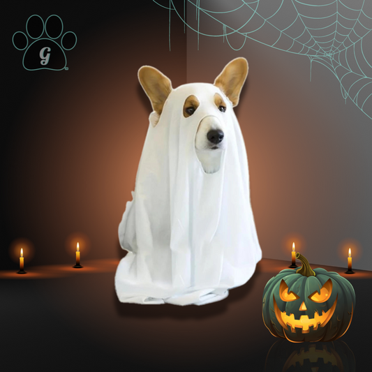 sheet ghost costume for small pets