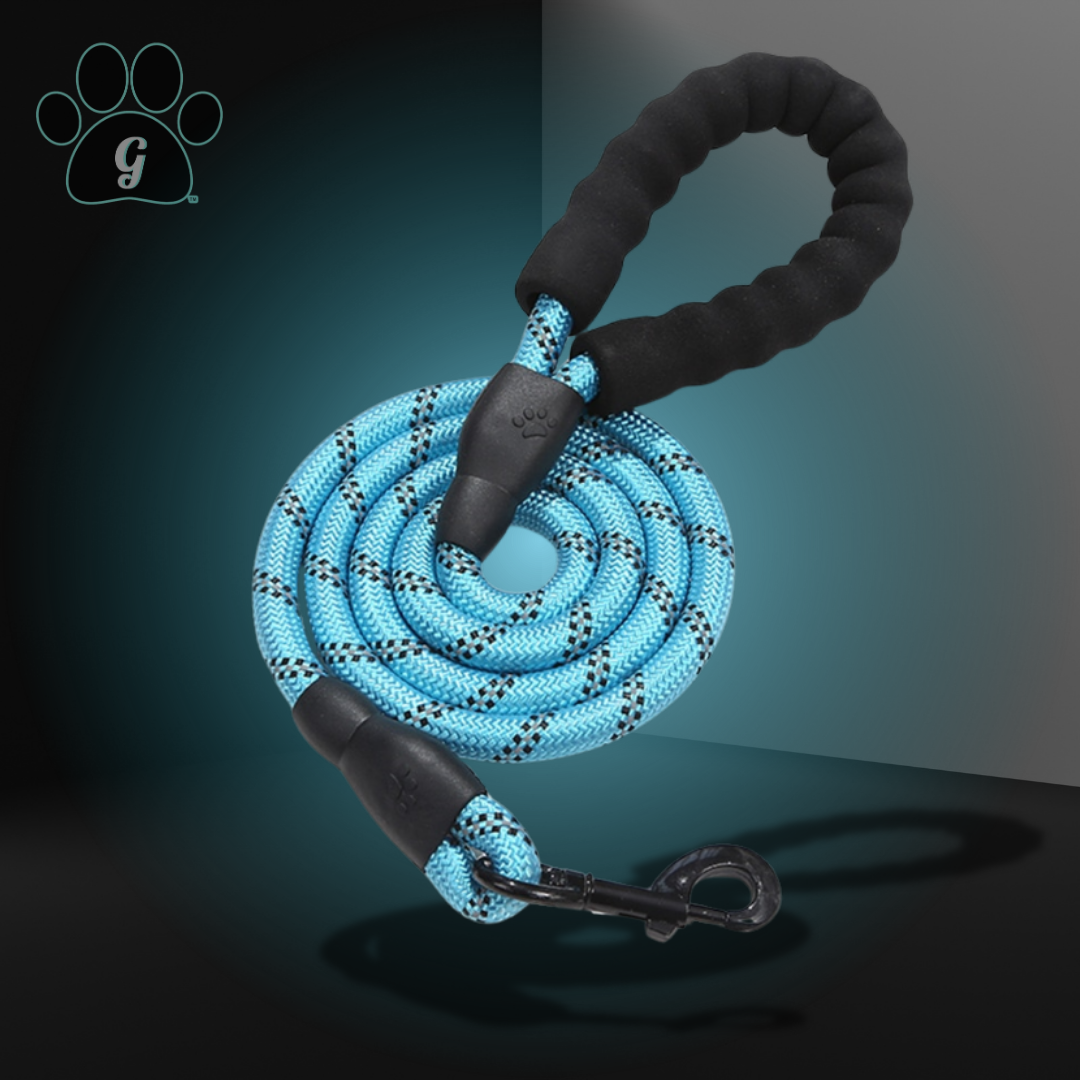 blue rope leash