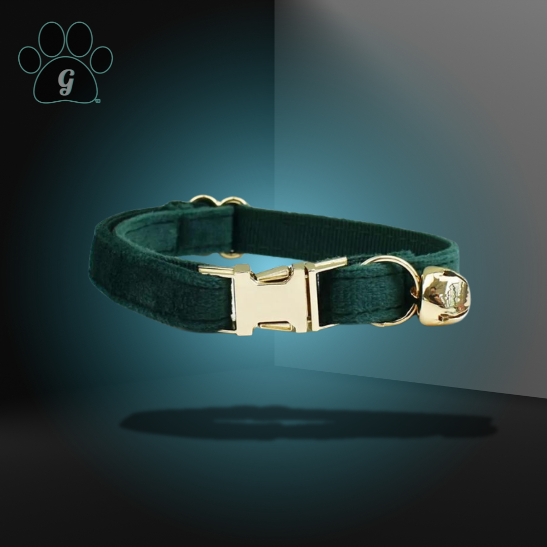 green cat collar with metal buckle and bell