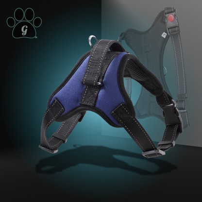 blue dog harness