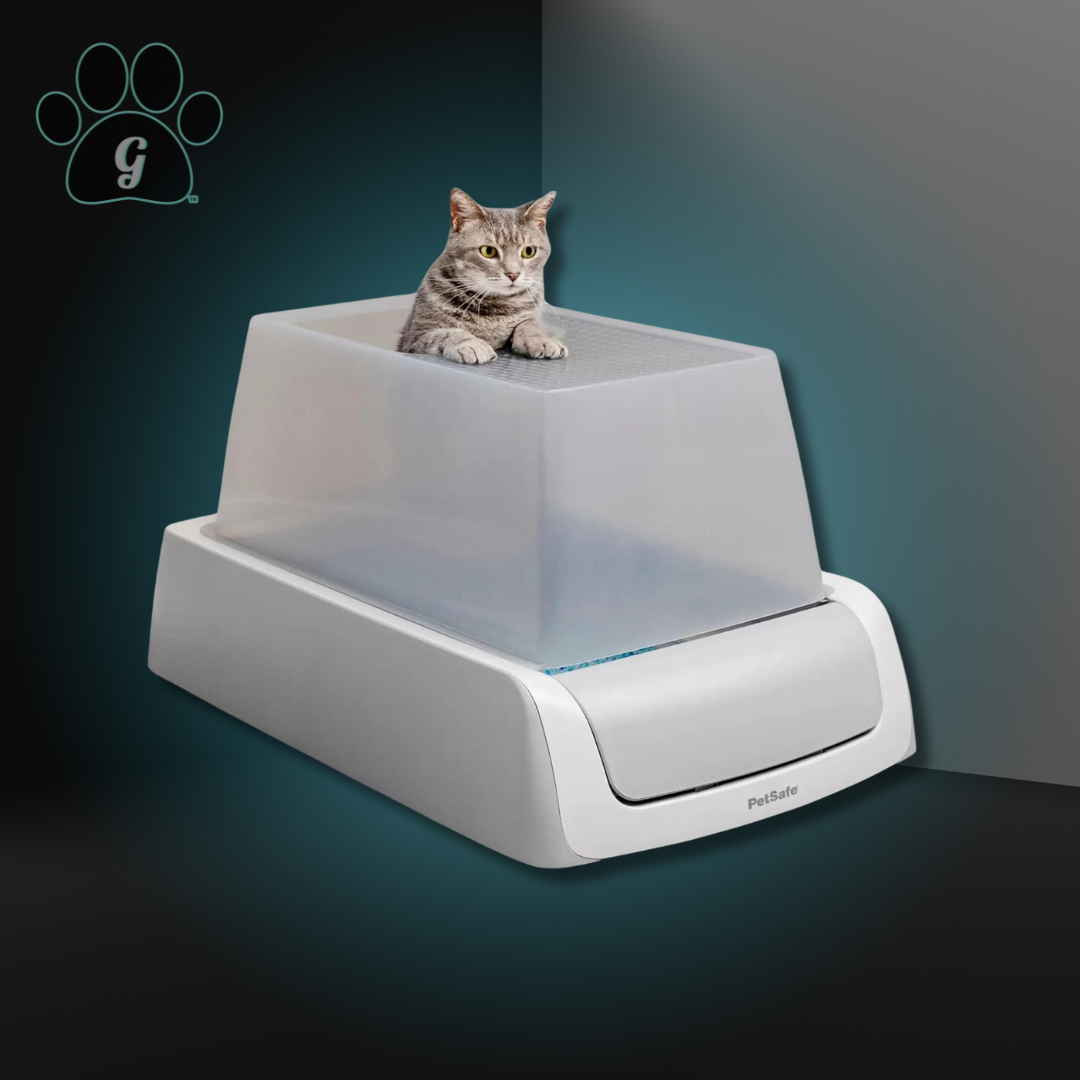 top entry litter box