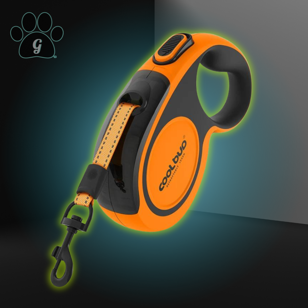 Orange retractable dog leash