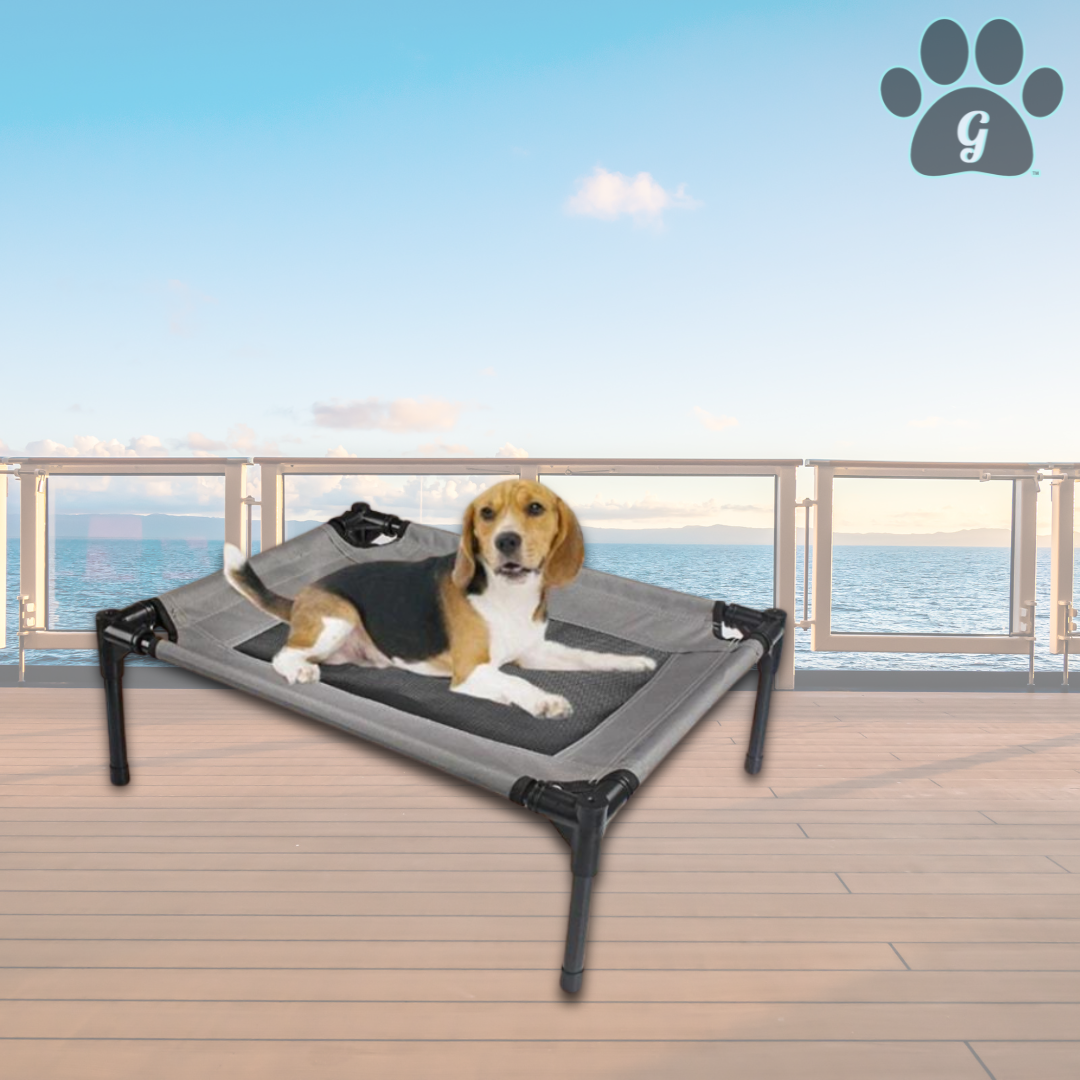 gray elevated cooling cot for pets with beagle on top 