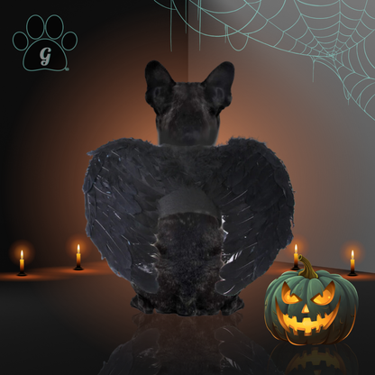 black angel wing costume for small pets