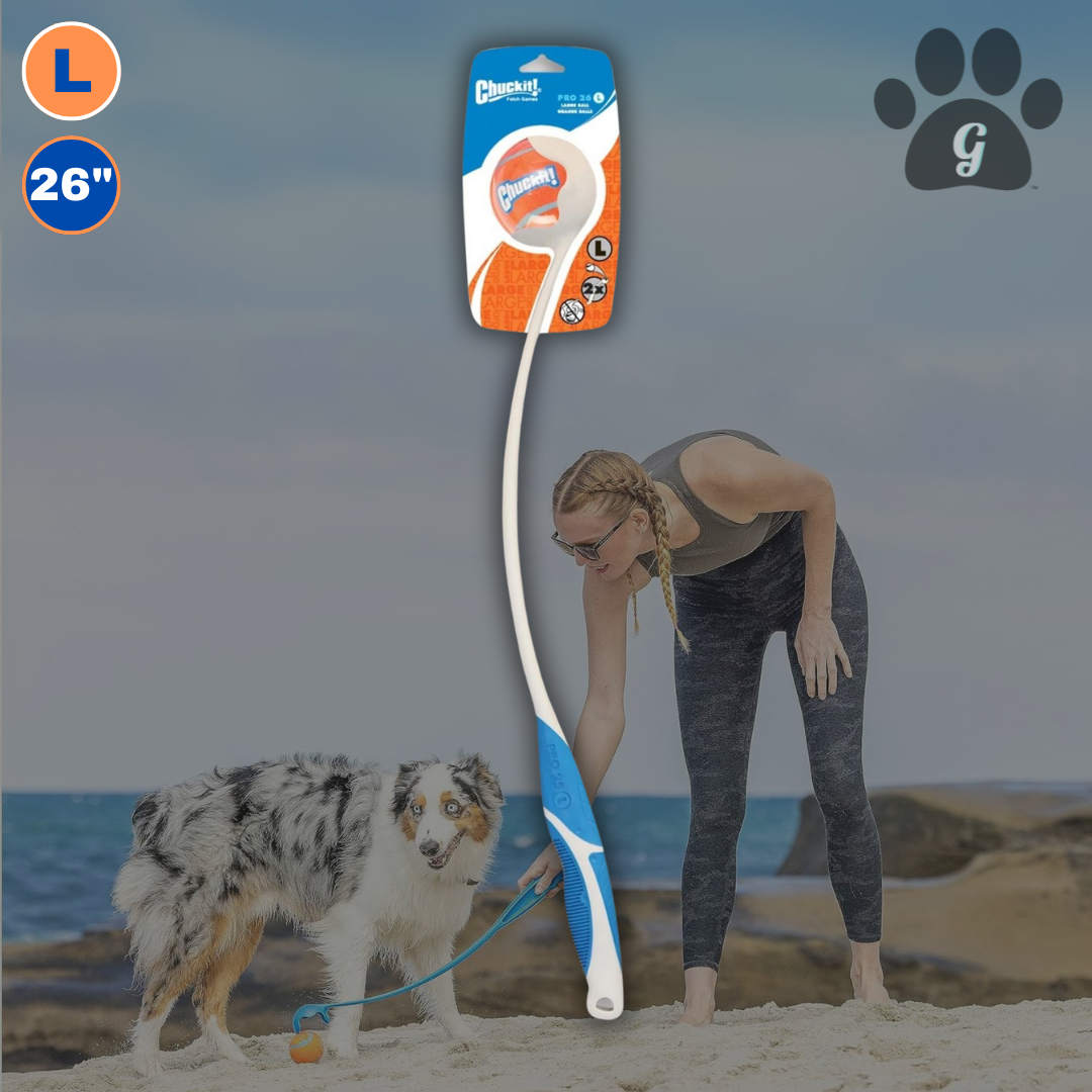 ball launcher dog toy