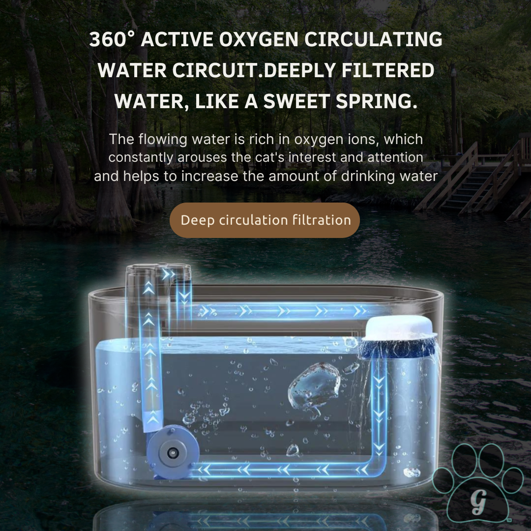 ionized water