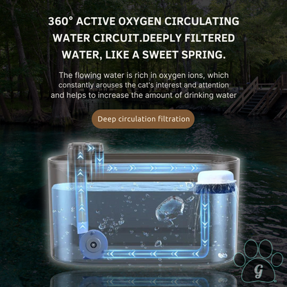 ionized water