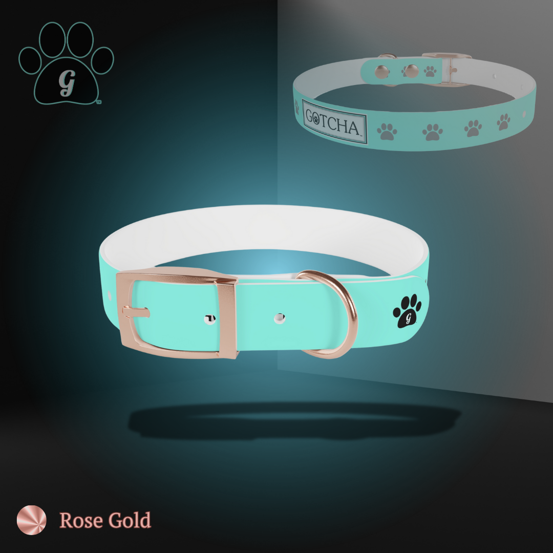 dog collar in rose gold finish