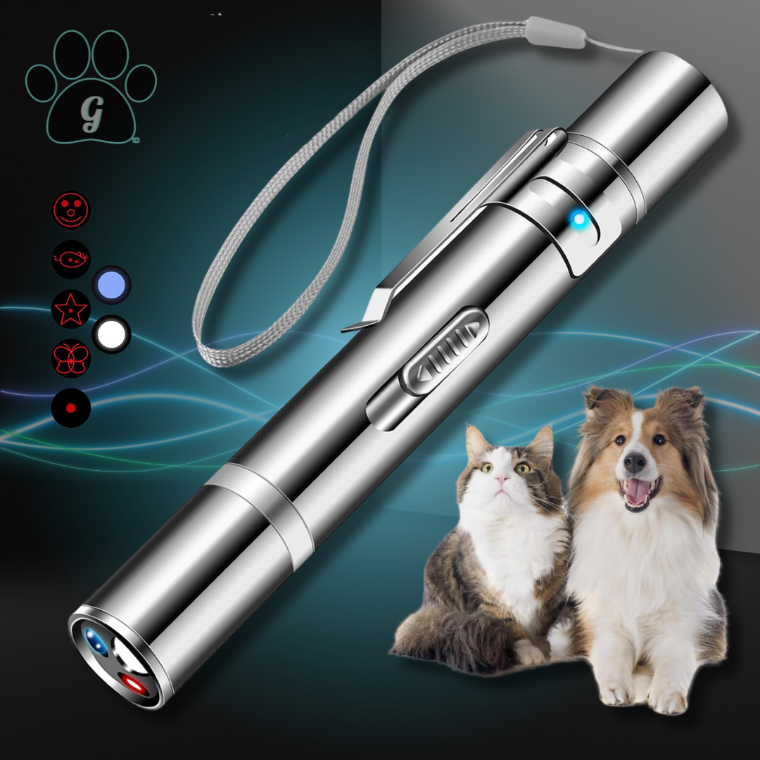 pet laser pointer toy