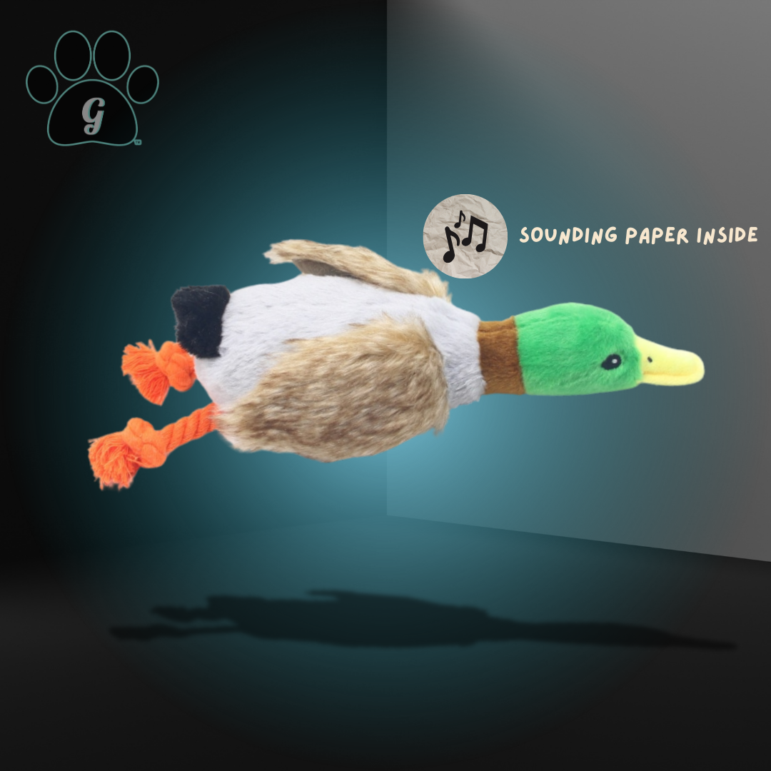 ISHILINE Bite Resistant Squeaking Duck Plush Toy