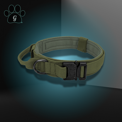 green dog collar