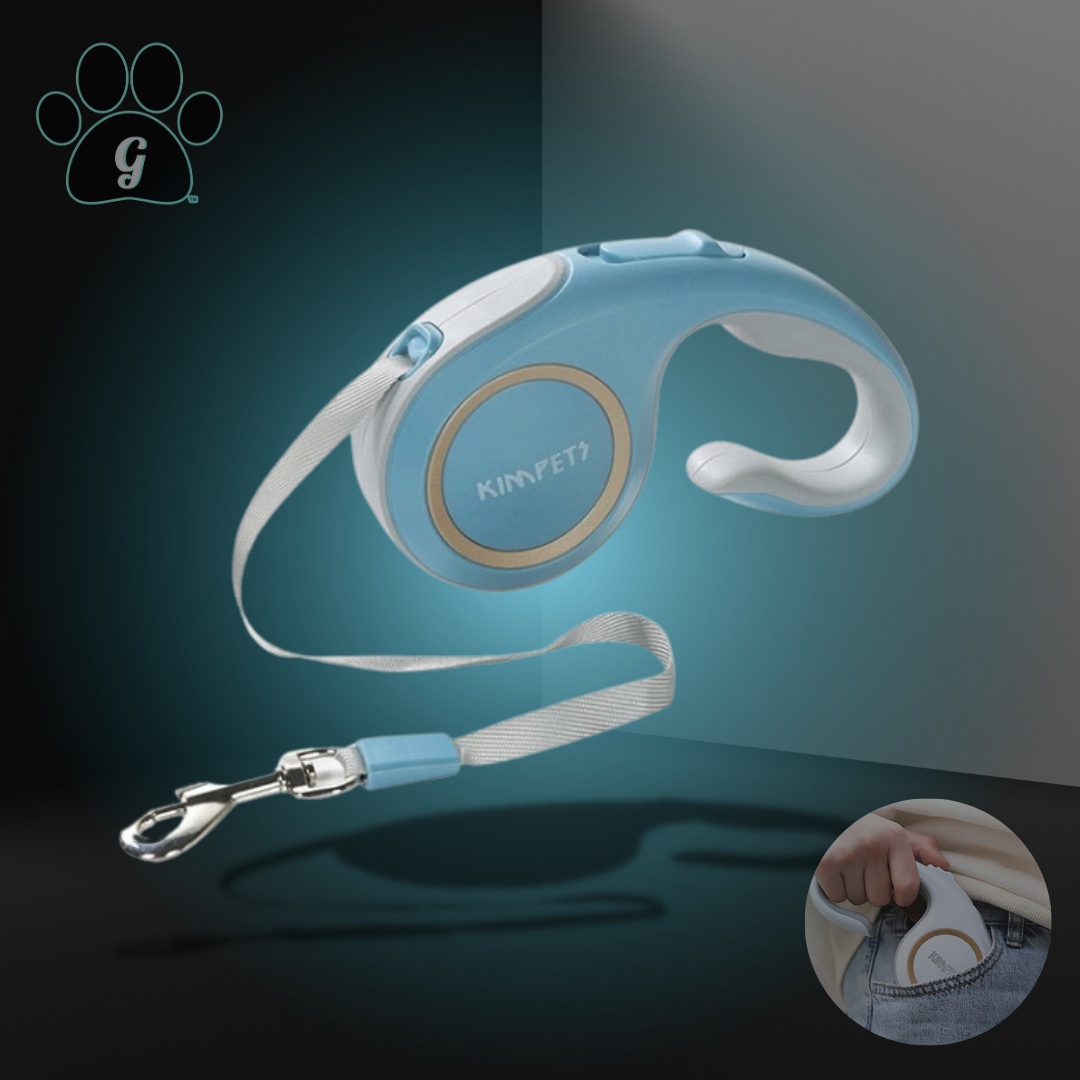 blue compact retractable leash