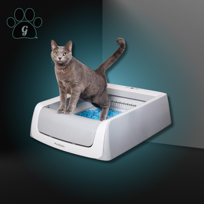 litter box without lid