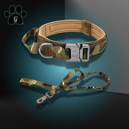 DIDOG Tactical Dog Collar Bungee Leash Set