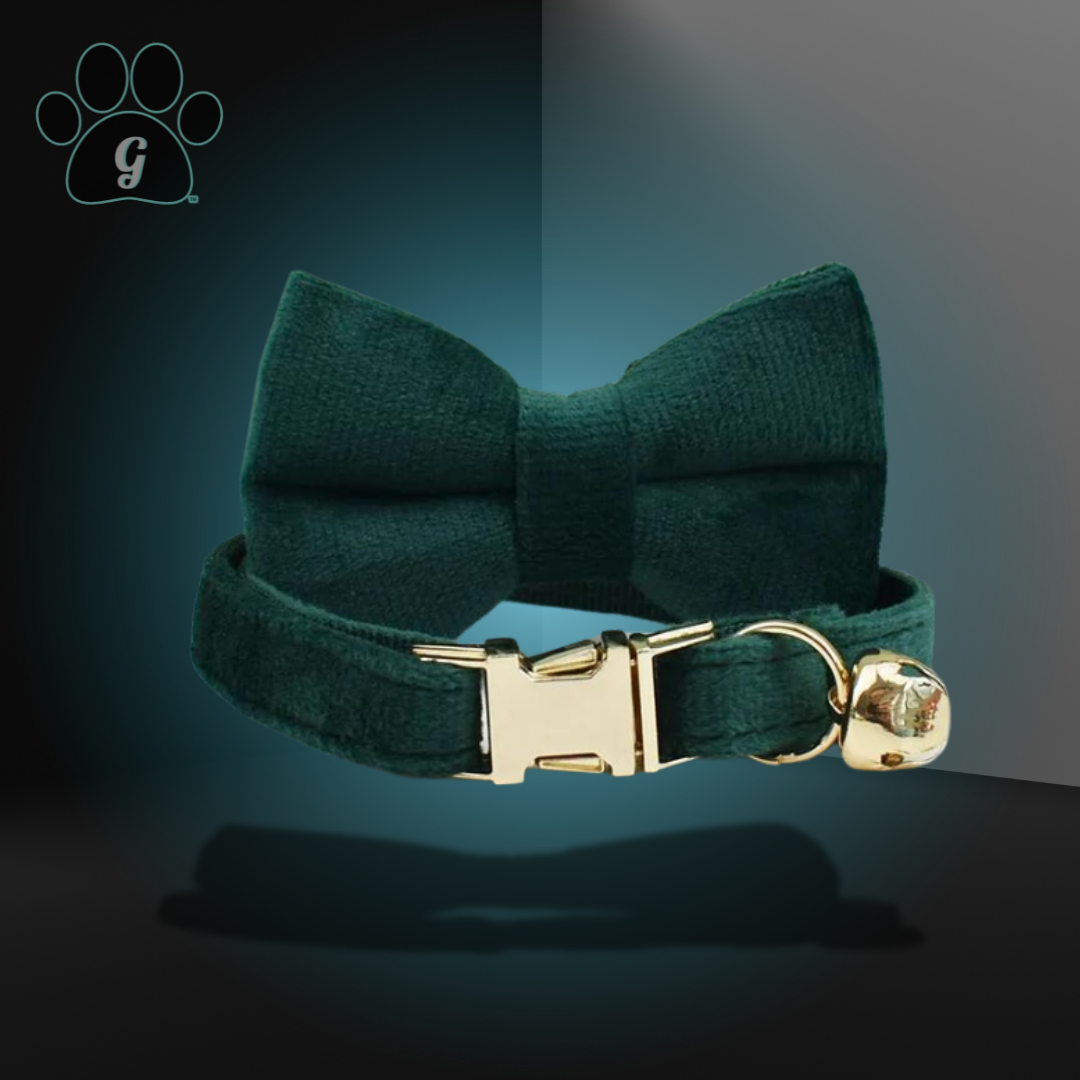 green cat collar with metal buckle and bell and bowtie