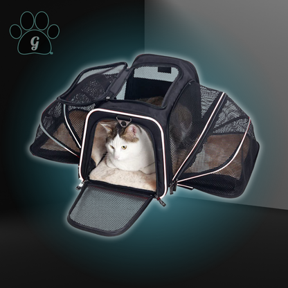 black and white small pet travel carrier