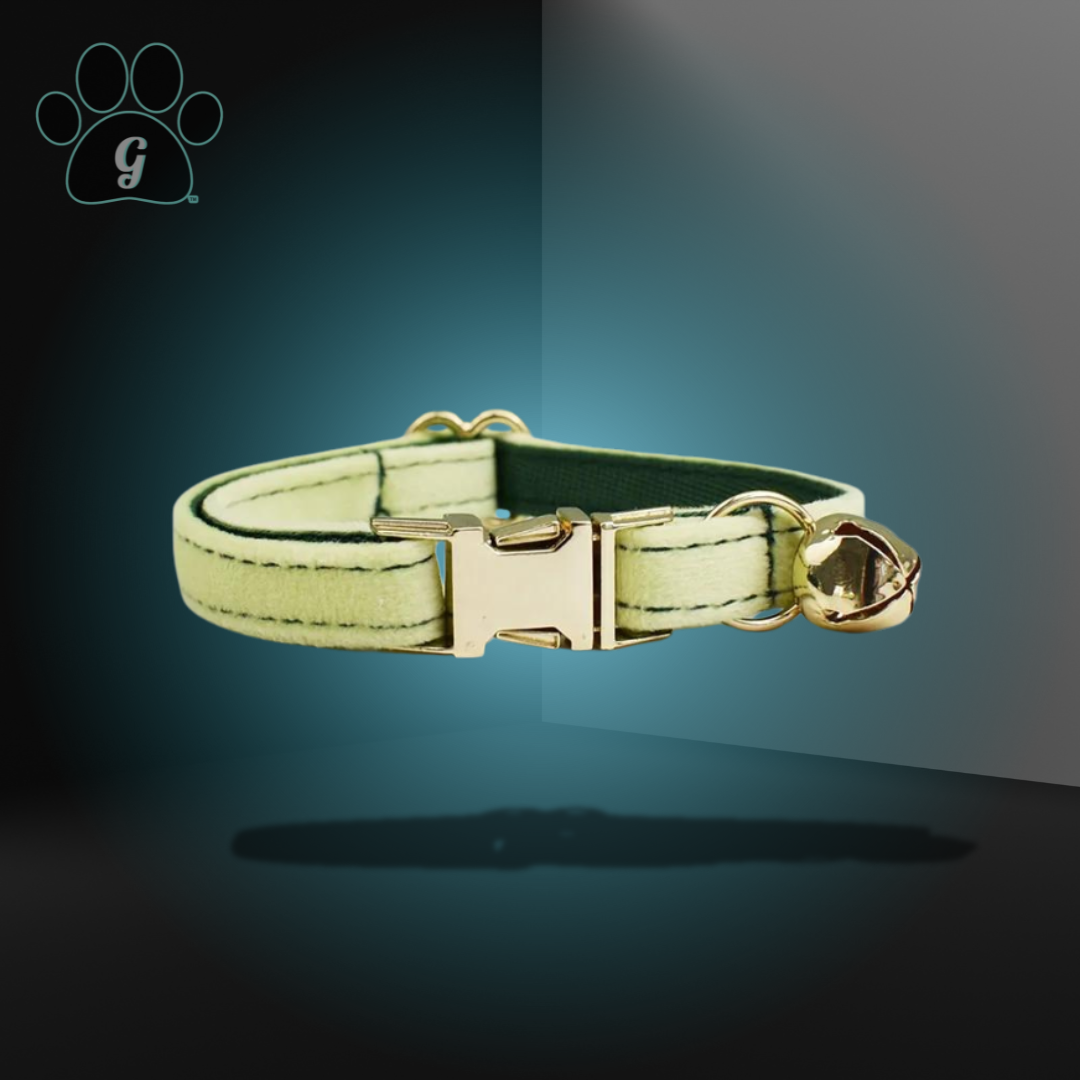 light green cat collar with metal buckle and bell