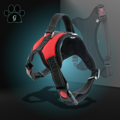 red dog harness