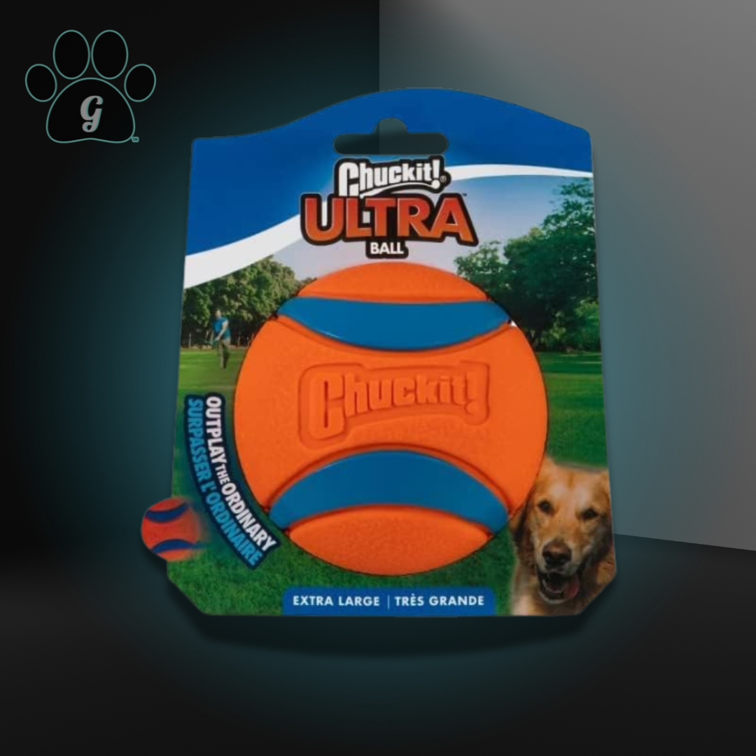 orange ball toy for dogs