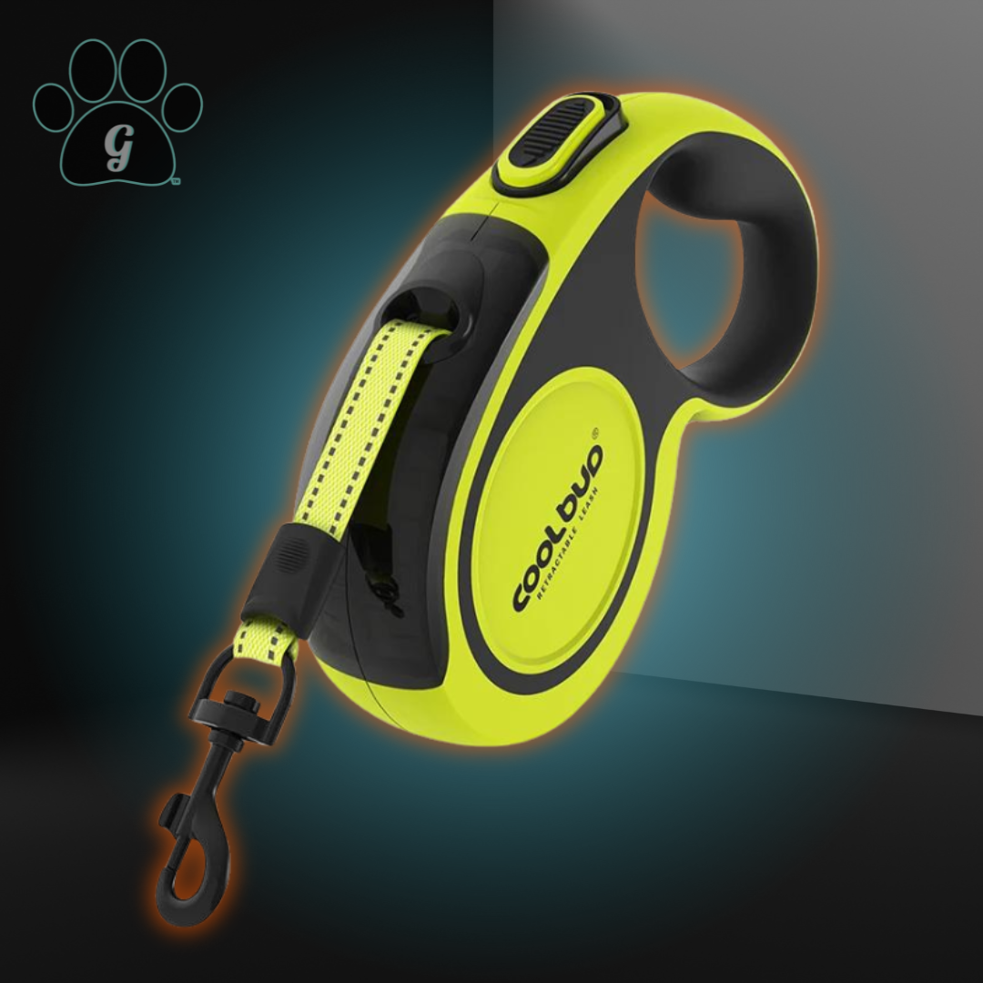 Lime green retractable leash