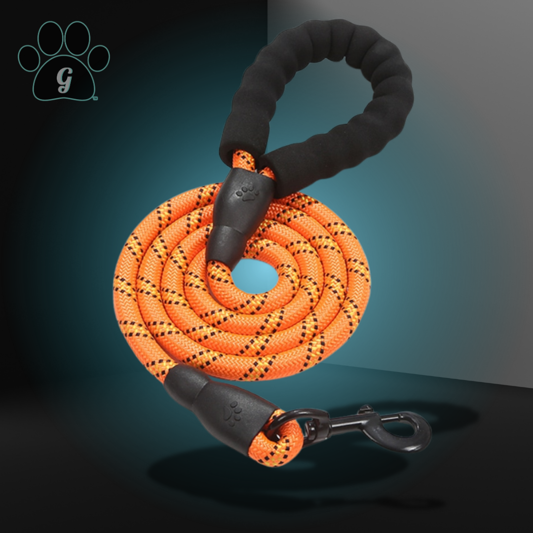 orange rope leash