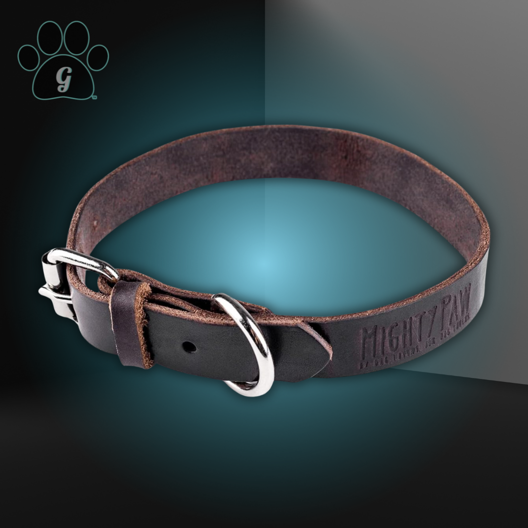 leather dog collar shown in brown