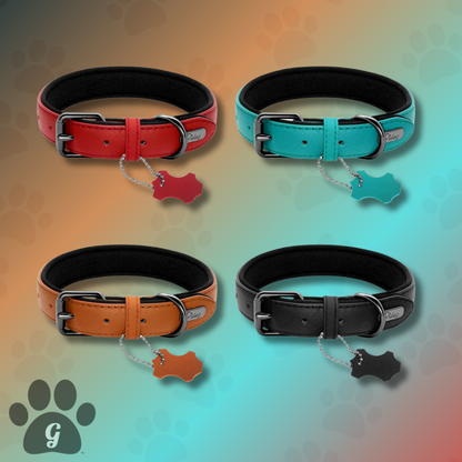 leather dog collar in multiple colors