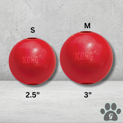 size comparison and diameter