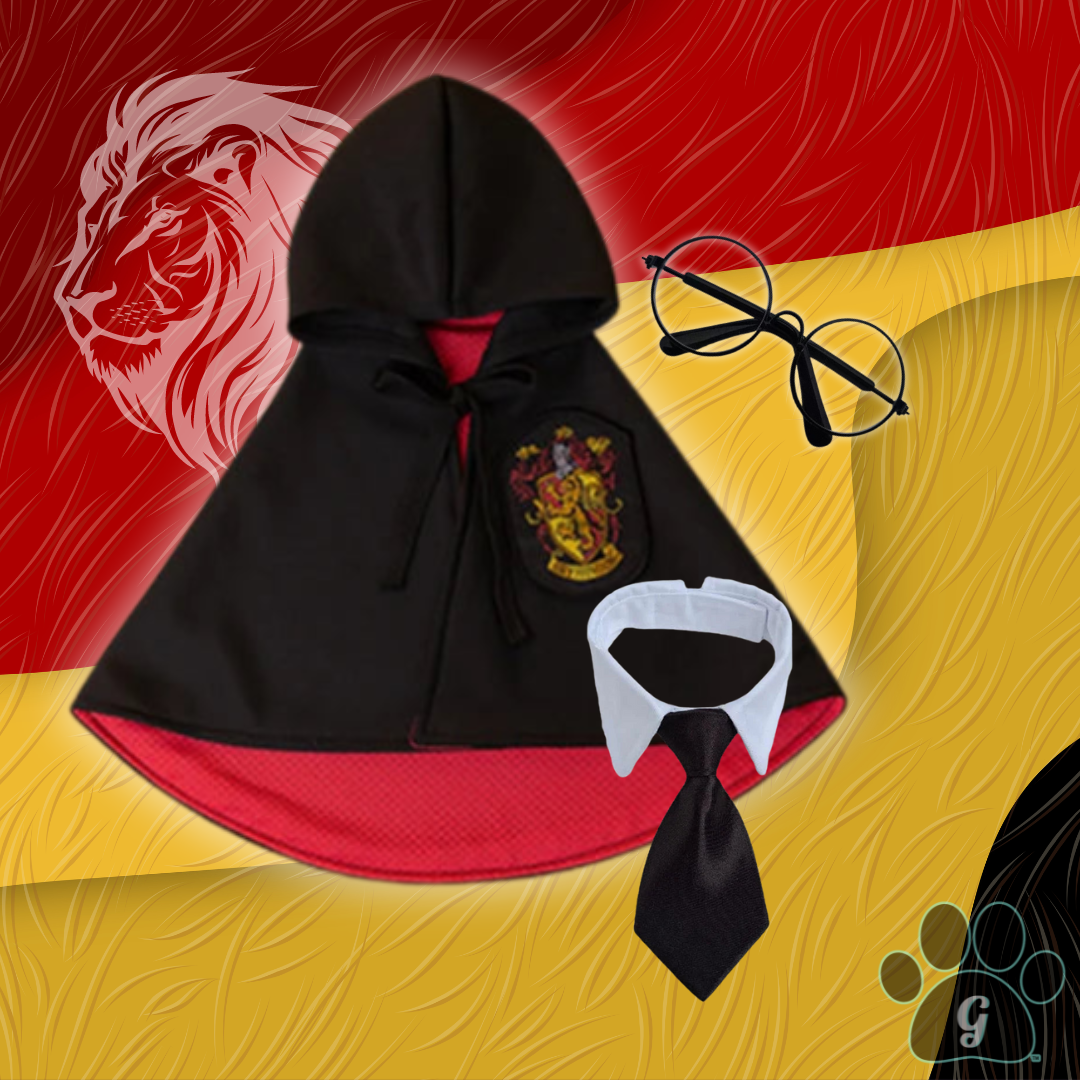 black and red Hogwarts costume with tie and glasses