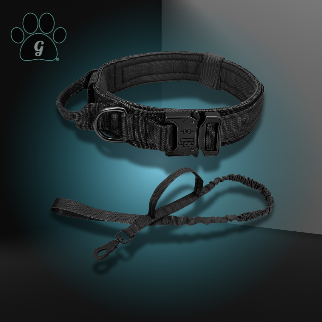 DIDOG Tactical Dog Collar Bungee Leash Set