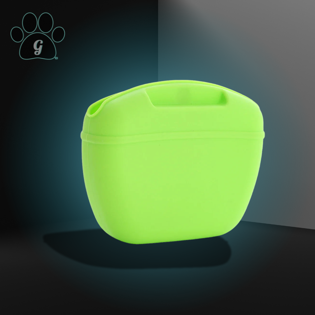 lime green silicone treat pouch