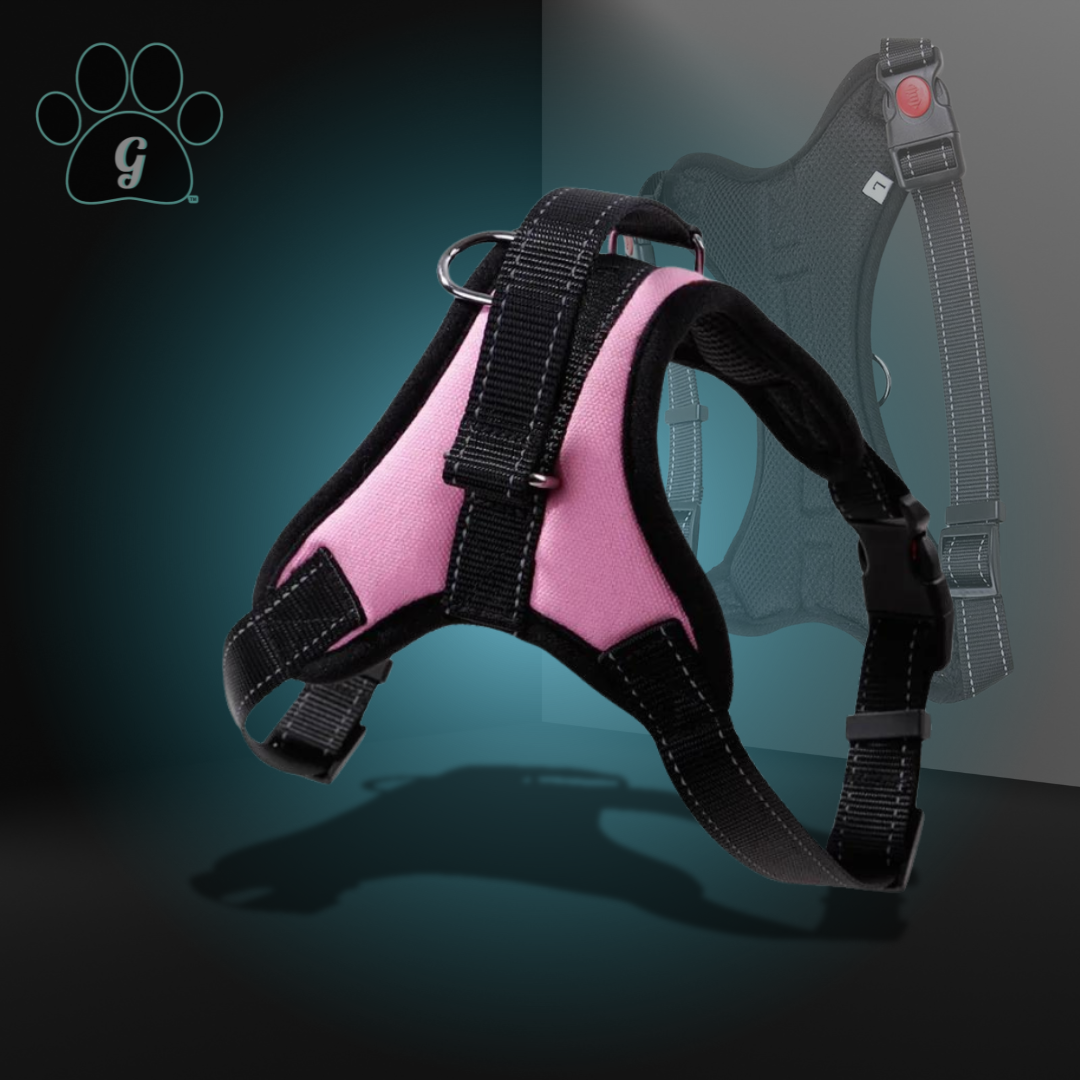 pink dog harness