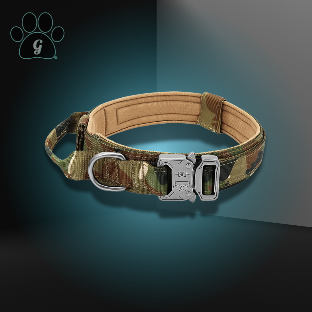 camouflage dog collar