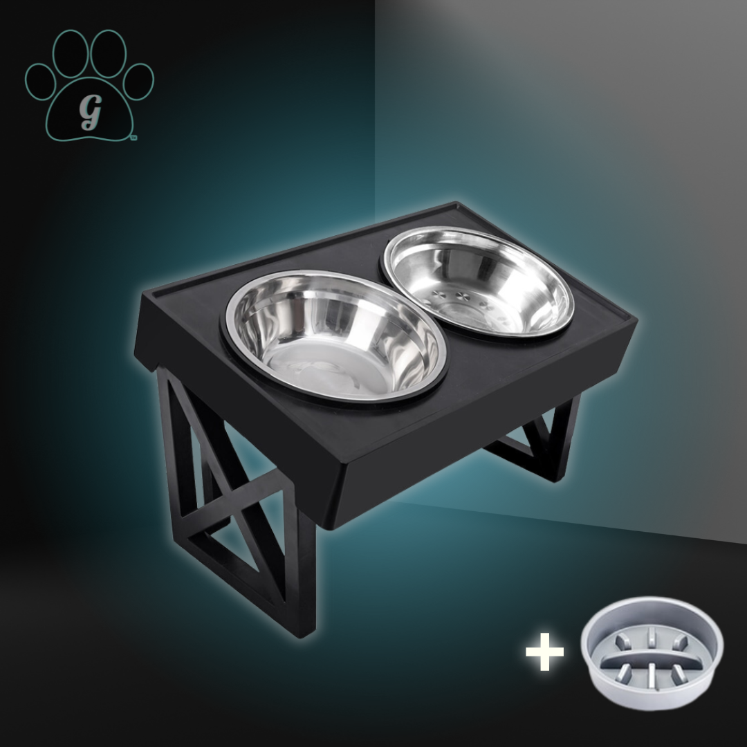 elevated and angled pet feeding set with stainless steel bowls and slow feeder bowl