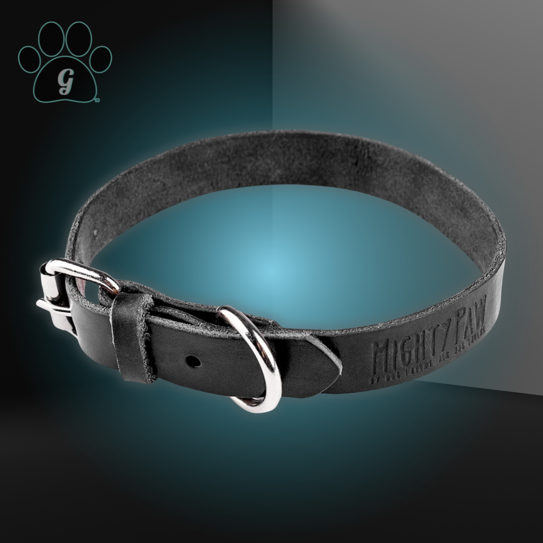 leather dog collar in black