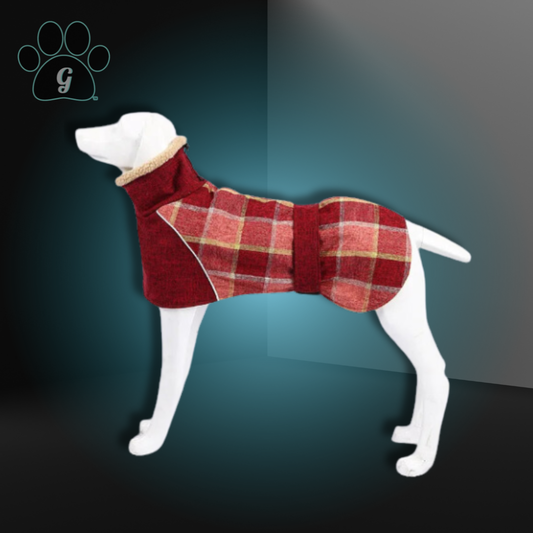 BJORN Plaid Turtle Neck Cozy Dog Sweater – Gotcha